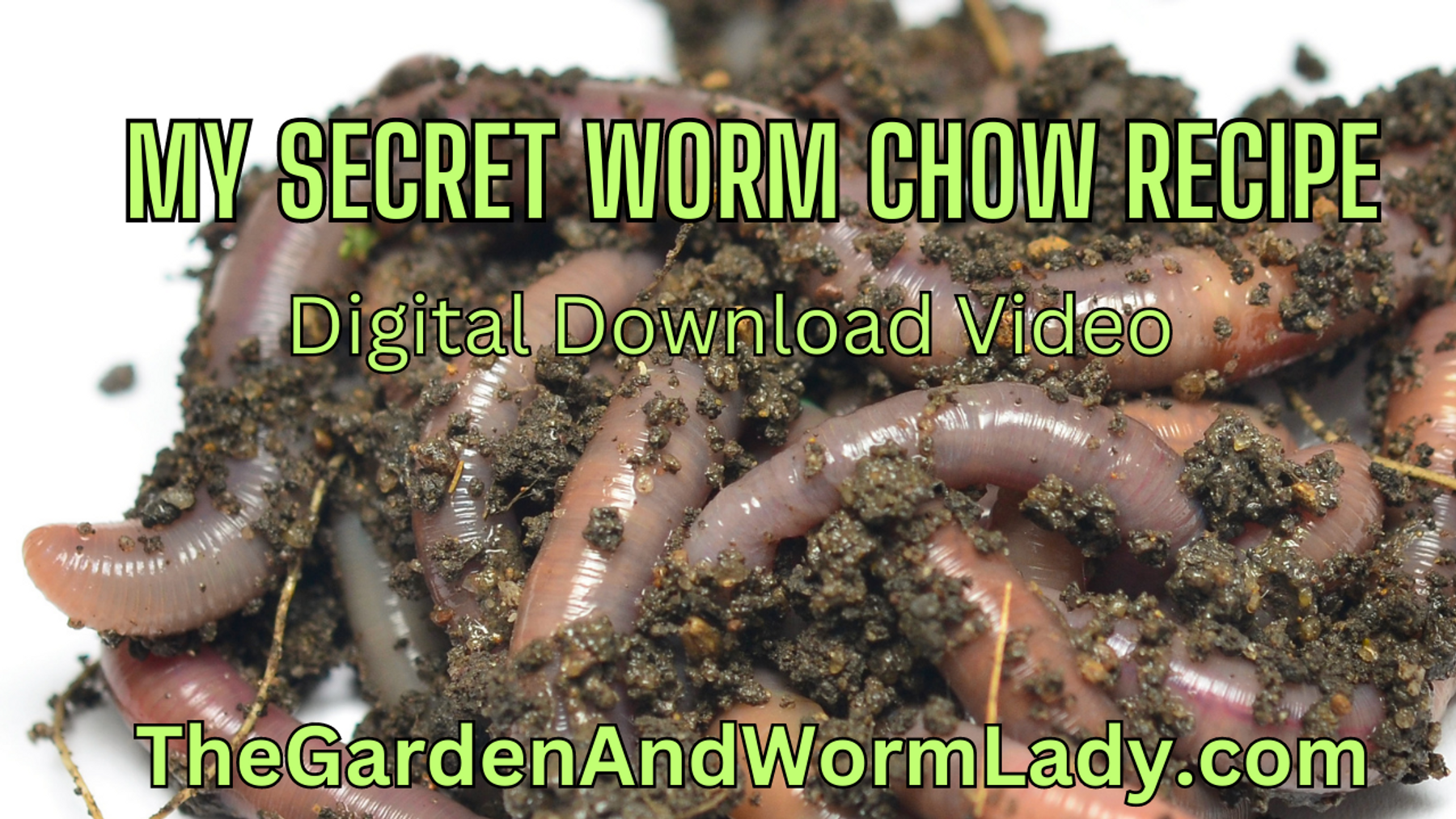 My SECRET Worm Chow Recipe